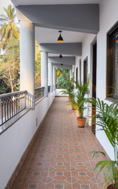 IMG_4248 (2) (1)